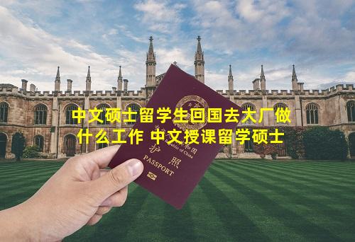 中文硕士留学生回国去大厂做什么工作 中文授课留学硕士